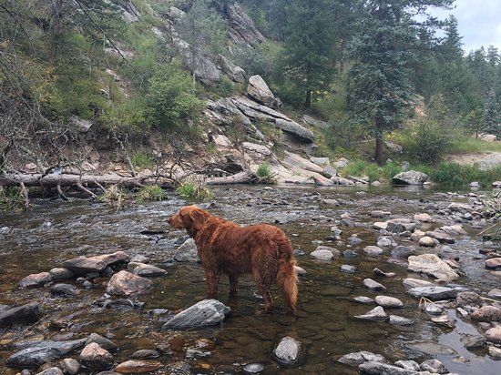 Sleepy Hollow County Park